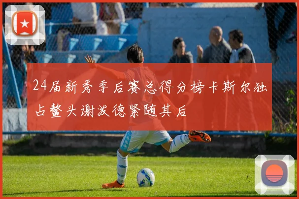 24届新秀季后赛总得分榜卡斯尔独占鳌头谢泼德紧随其后